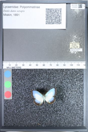 Media type: image;   Entomology 69926
